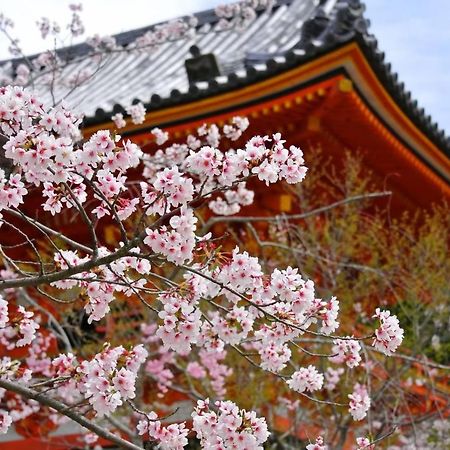 Stay Sakura Kyoto Matsuri Eksteriør bilde