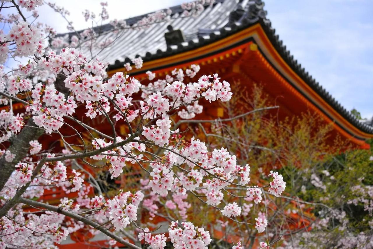 Stay Sakura Kyoto Matsuri Eksteriør bilde